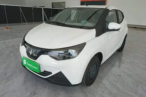 Jiangling Xiao Qilin 2025