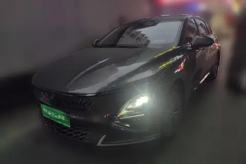 Wuling Xingguang 2024