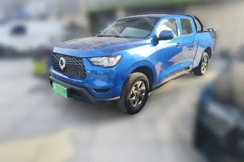 Great Wall Poer 2021