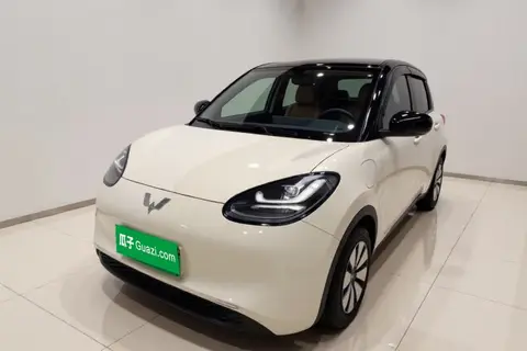Wuling Bingo 2024