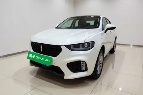 Wey VV5 2019