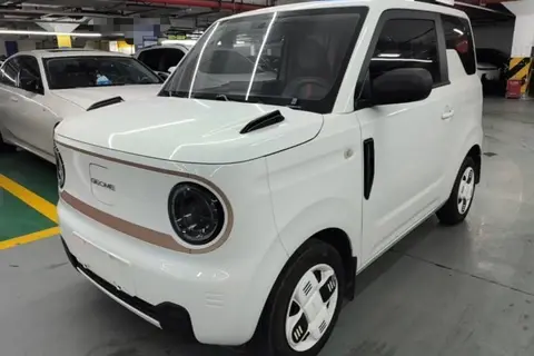 Geely Panda 2024