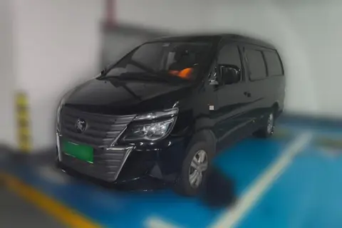 Forthing Lingzhi 2025