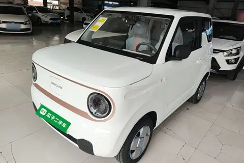 Geely Panda 2026