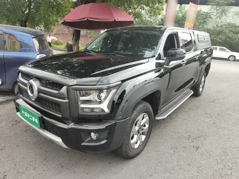 Great Wall King Kong Poer 2024