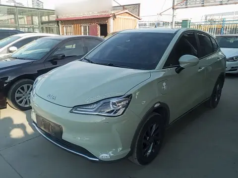 NETA V 2022