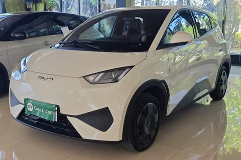 BYD Seagull 2025