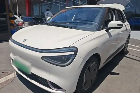 Dongfeng Nammi 01 2025