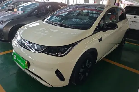BYD Dolphin 2025