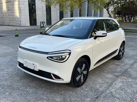 Dongfeng Nammi 01 2026