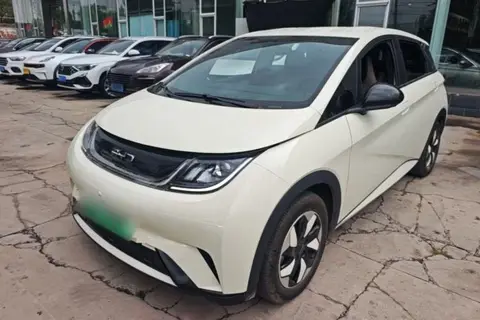 BYD Dolphin 2026
