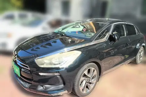 DS 5 2013