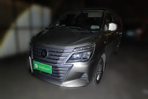 Forthing Lingzhi 2024