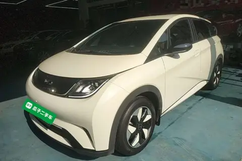 BYD Dolphin 2025