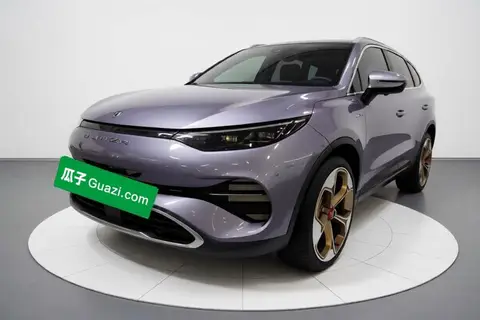 Denza X 2020