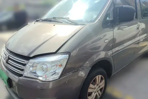 Forthing Lingzhi 2019