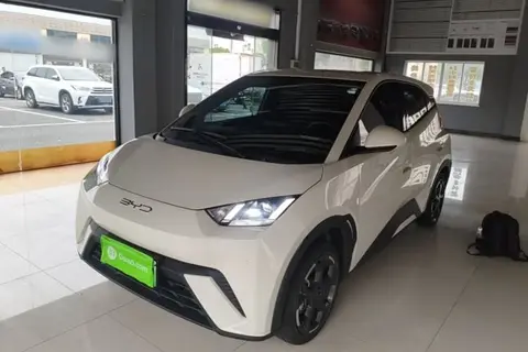 BYD Seagull 2024