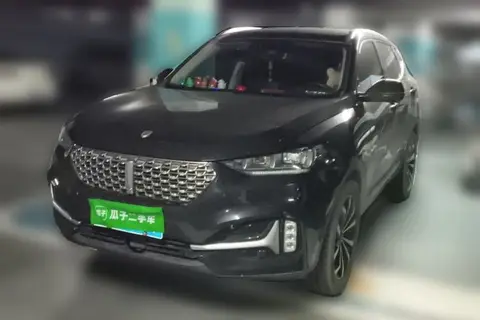 Wey VV6 2020