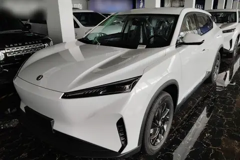 Dongfeng SKY EV01 2025