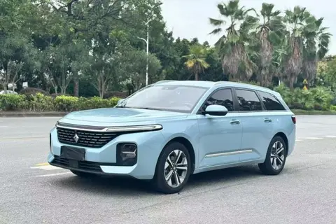 Baojun Valli 2021