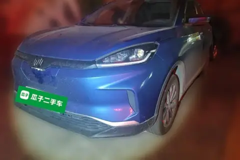 Weltmeister EX5 2019