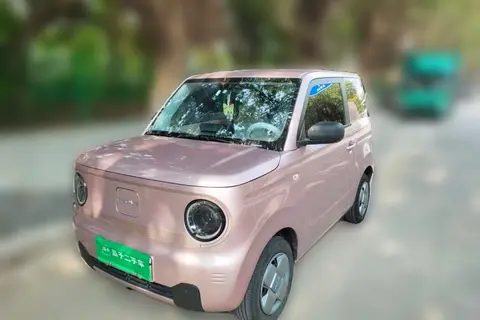 Geely Panda 2024