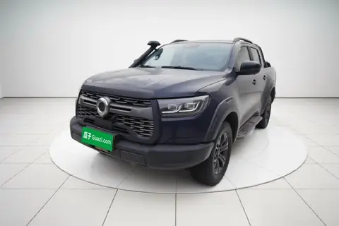 Great Wall Poer 2020
