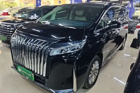 Wey Gaoshan 2024