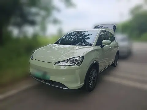 NETA V 2023