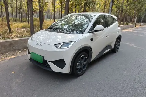 BYD Seagull 2025