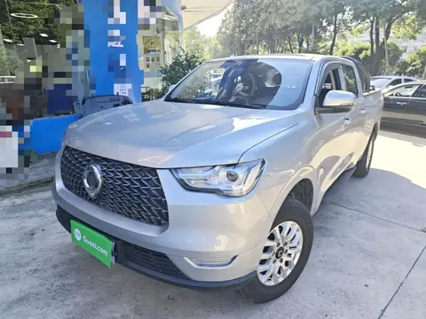Great Wall Poer 2020