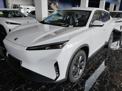 Dongfeng SKY EV01 2025
