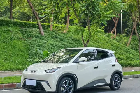 BYD Seagull 2024