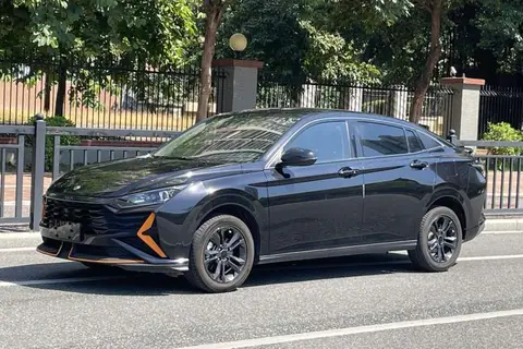 Dongfeng Shine 2024
