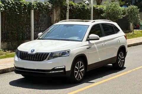 Skoda Kamiq 2019