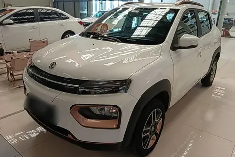 Dongfeng Nammi Box 2024