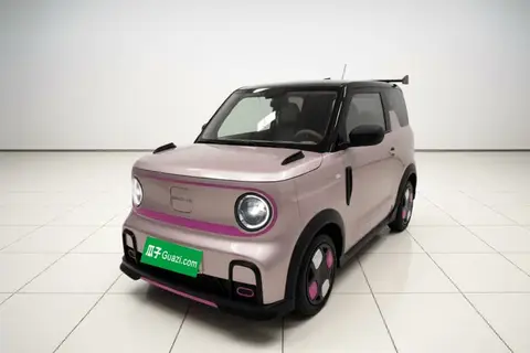 Geely Panda 2024