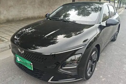 Wuling Xingguang 2024