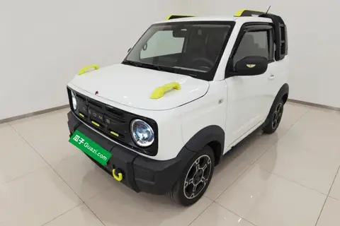 Geely Panda 2024