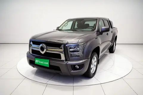 Great Wall King Kong Poer 2023