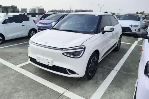 Dongfeng Nammi 01 2025