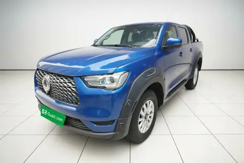 Great Wall Poer 2020