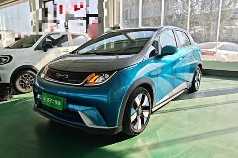 BYD Dolphin 2021