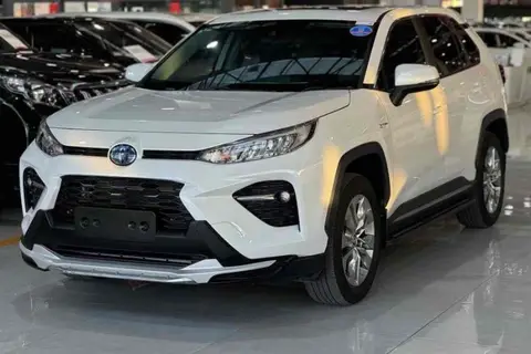 Toyota Wildlander 2021