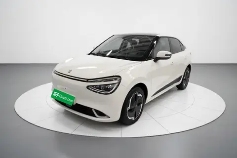 Dongfeng Nammi 01 2024