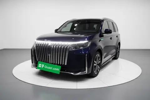 Wey Gaoshan 2024