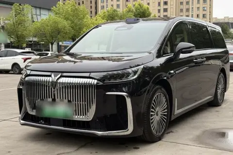 Voyah Dream 2025