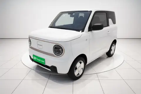 Geely Panda 2025