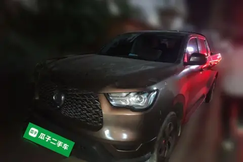 Great Wall Poer 2023