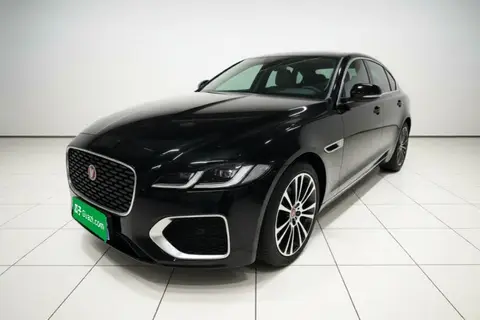 Jaguar XFL 2024